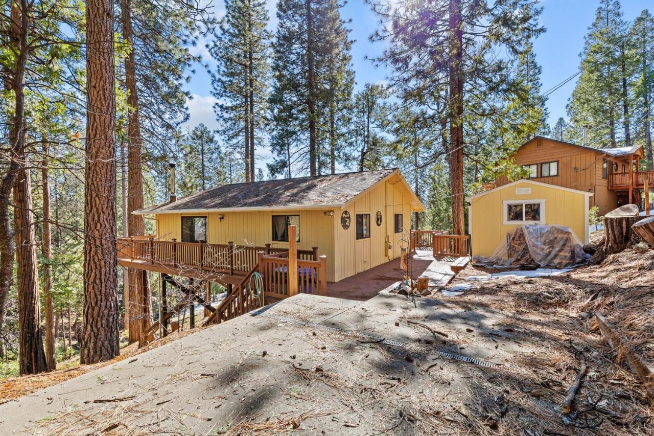 Big Trees, Little Cabin Arnold Extérieur photo